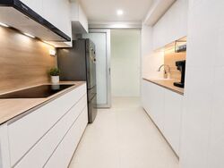 Oasis @ Elias (D18), Condominium #610460261